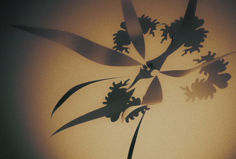 Passfleur