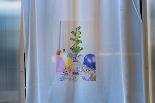 Installation displayed at Stapferhaus museum. Lenzburg, 25.04.2024