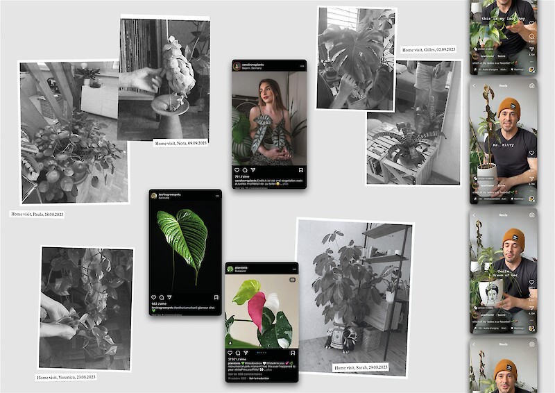 Selection of the visual ethnographic research