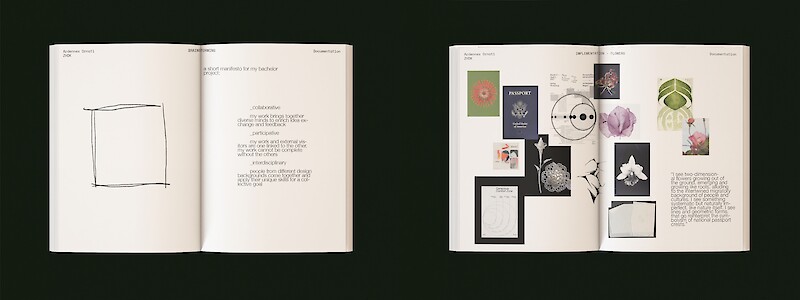 Excerpts of the documentation booklet and conceptual reasoning behind the project.