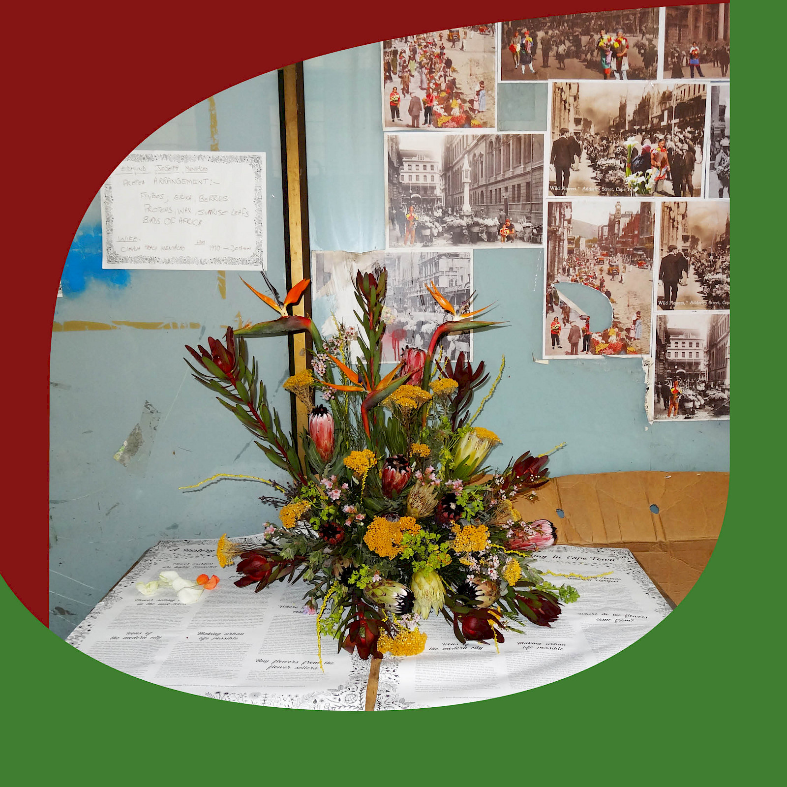 8.5.2024 Blumenidentitäten – Multispezies-Perspektiven im Anthropozän