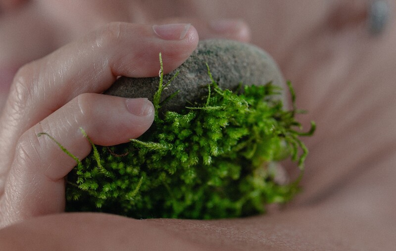 Studio Nature Care