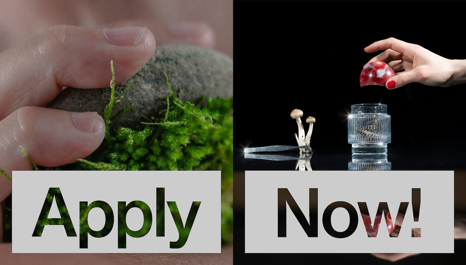 Trends & Identity & Du? Bewirb dich für den MA Major!