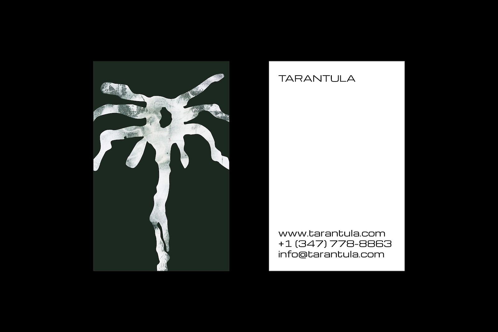 Identität und Marke