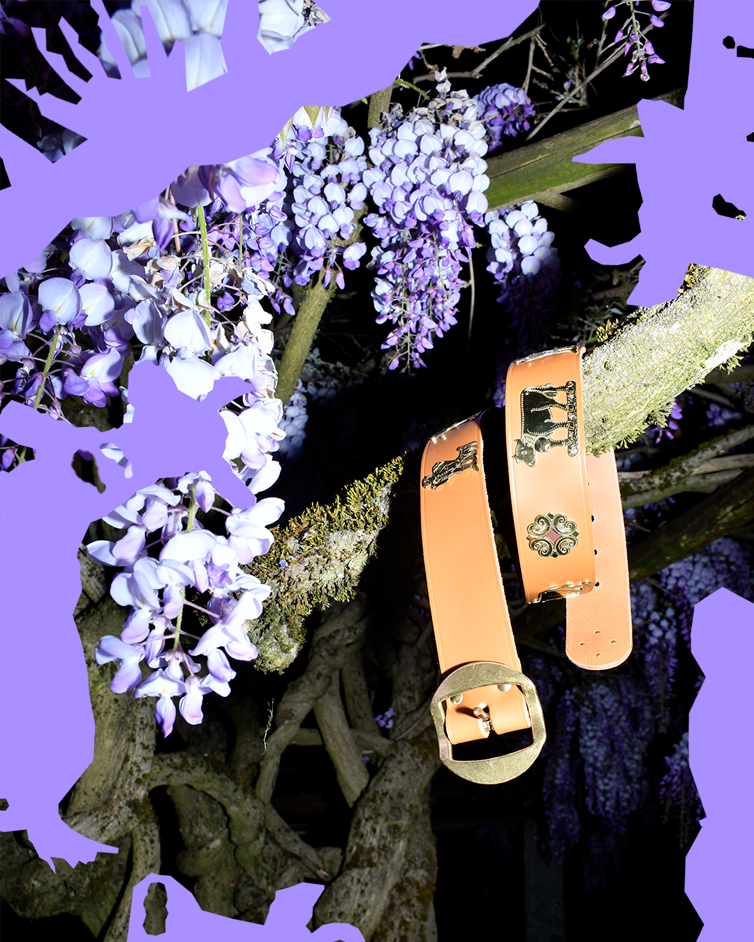 Identität und Marke