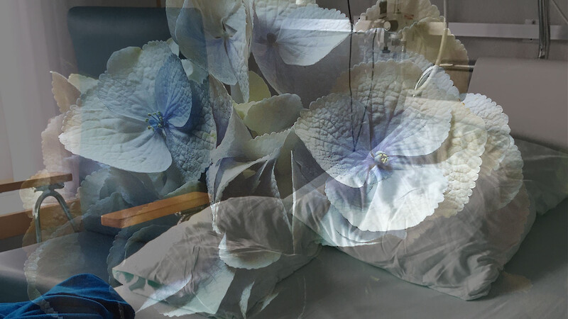 Blumen überall