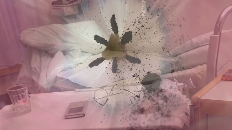 Blumen überall