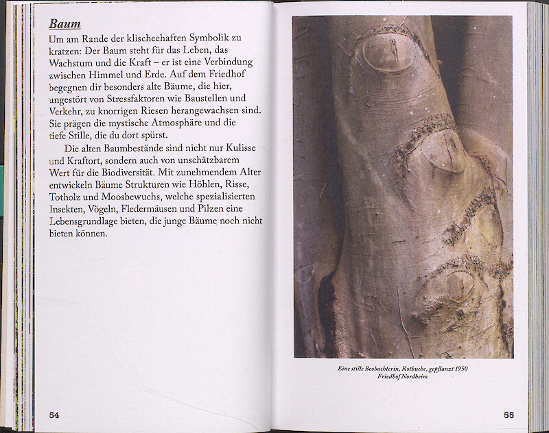 Friedliche Höfe