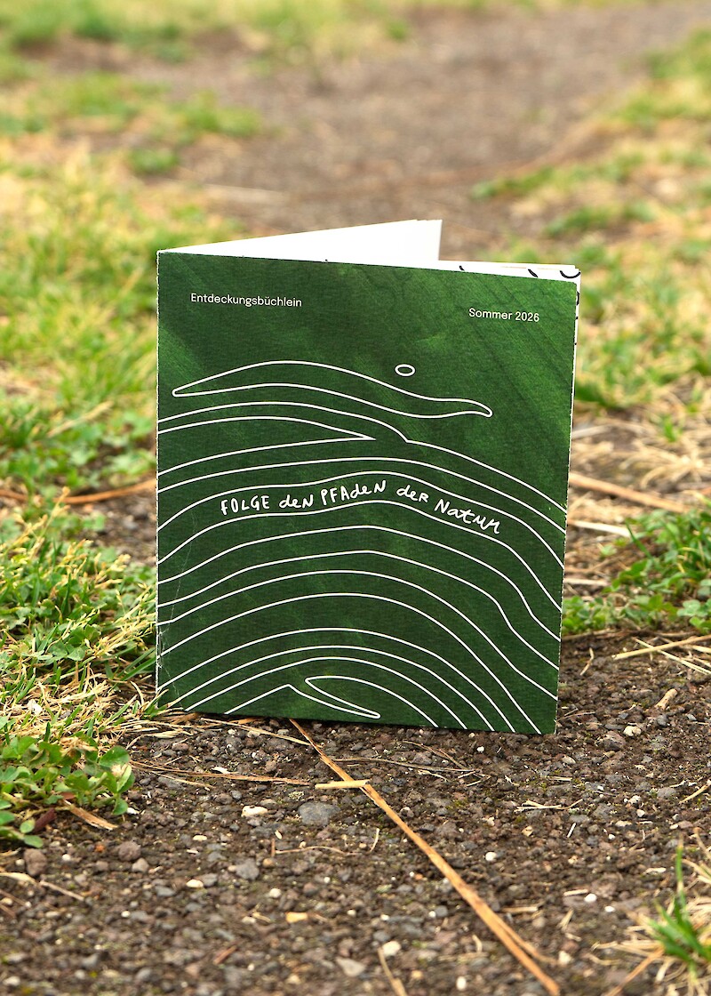Touch Grass