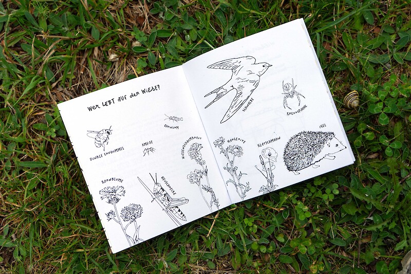 Touch Grass