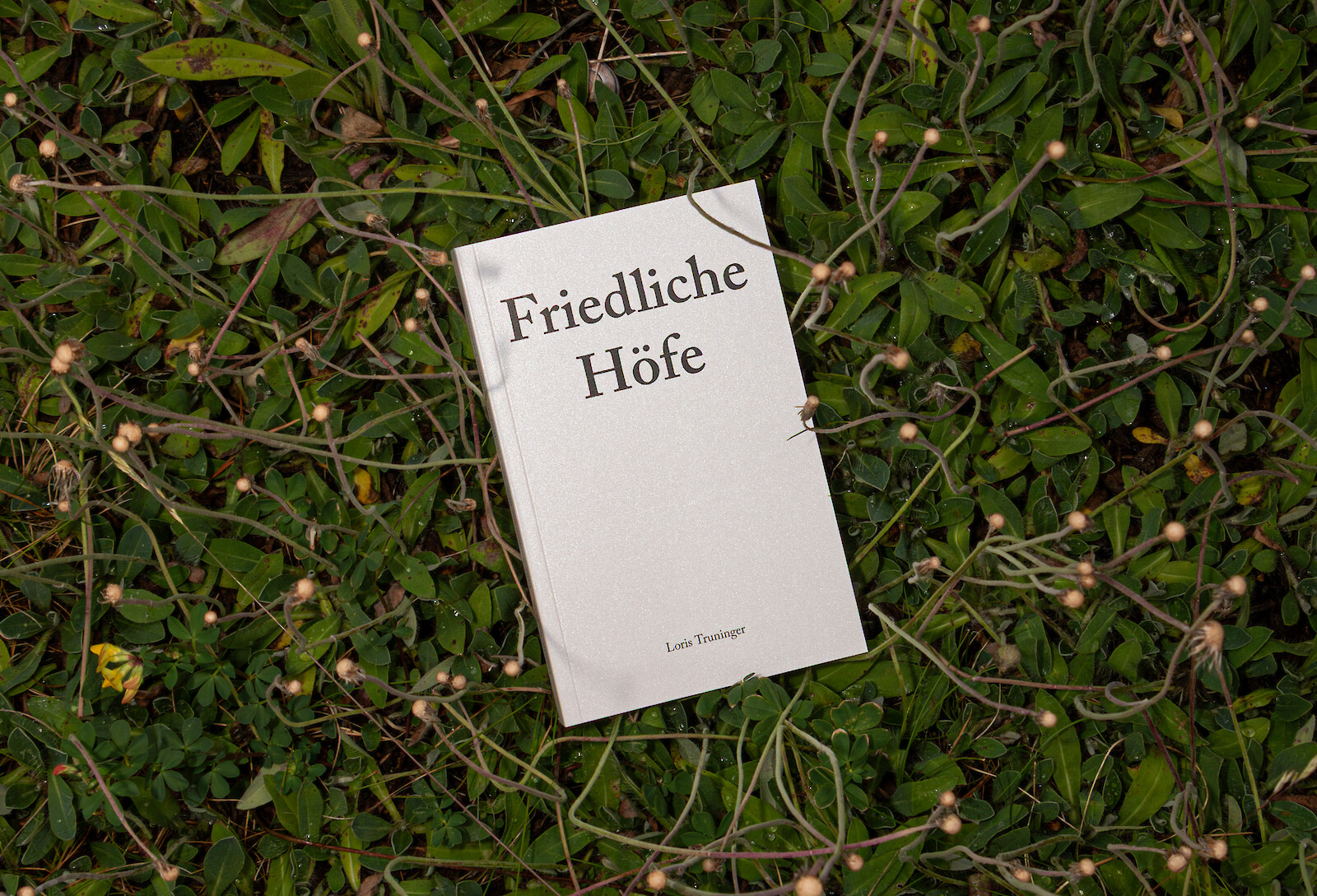 Friedliche Höfe