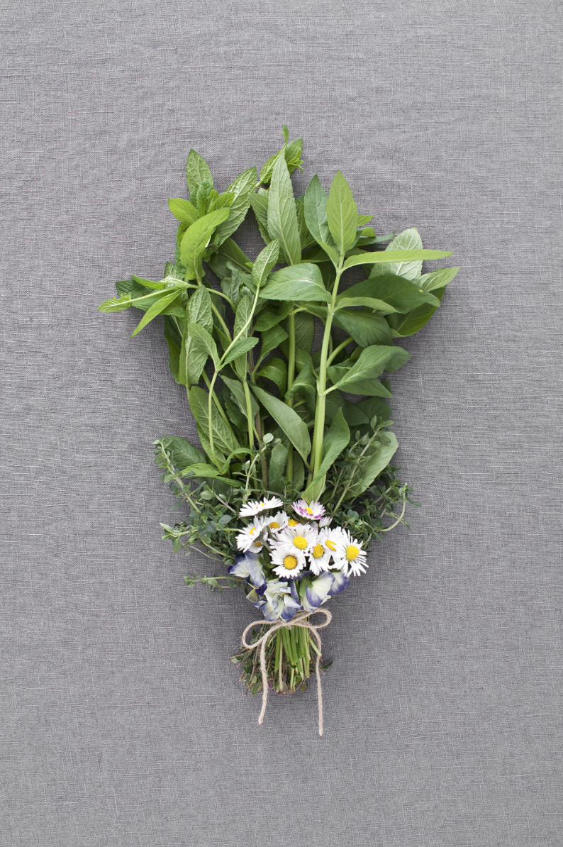 Mampfstrauss, der Strauss zum Essen