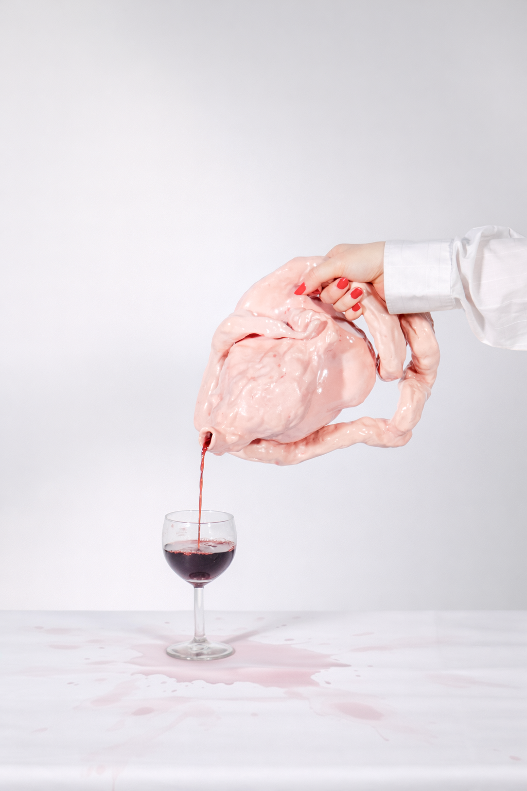 Mindful User – Gentle Reminder About Your Animal Use, Kiwi Erni, 2026