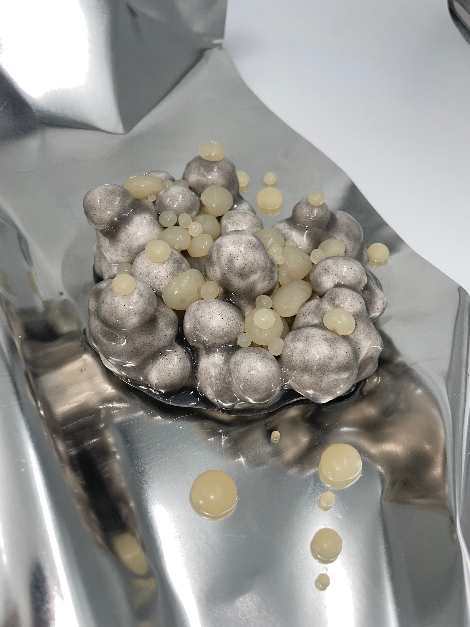 Flavorscape, Jaël Egloff, 2025