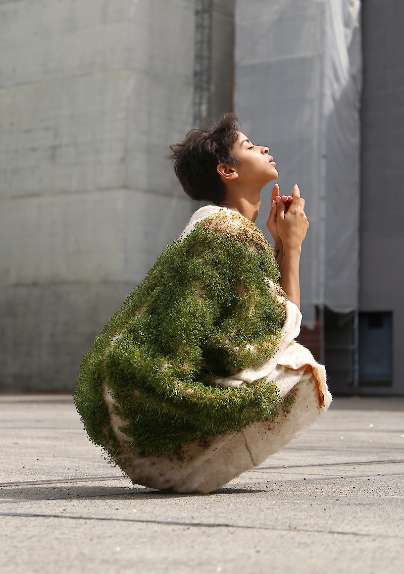 Growing Garments