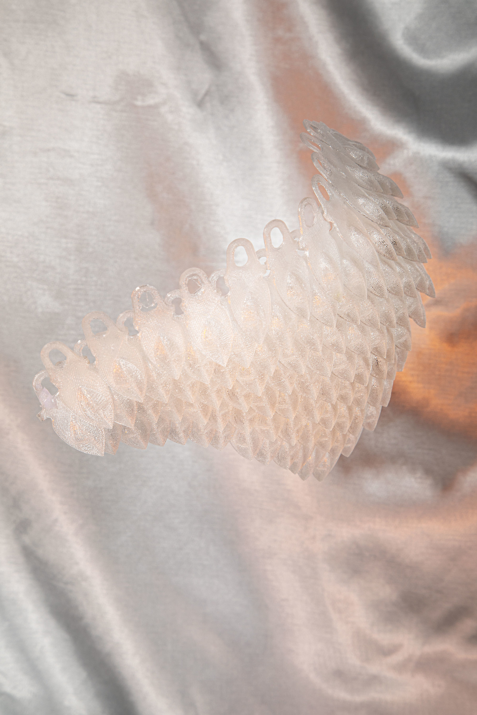 Private Printed Garment