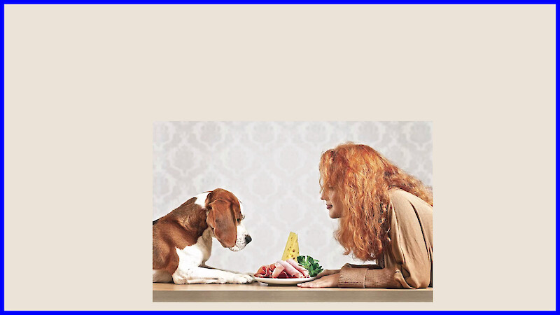 Humanisation of Pet Food