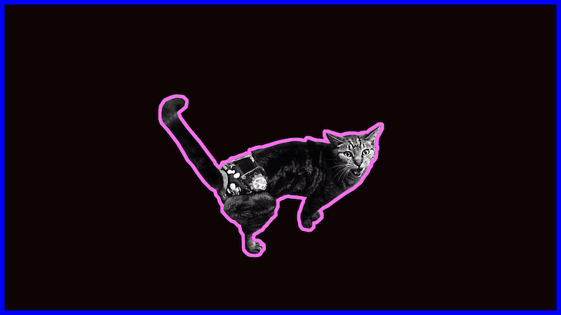 #silverpetciety