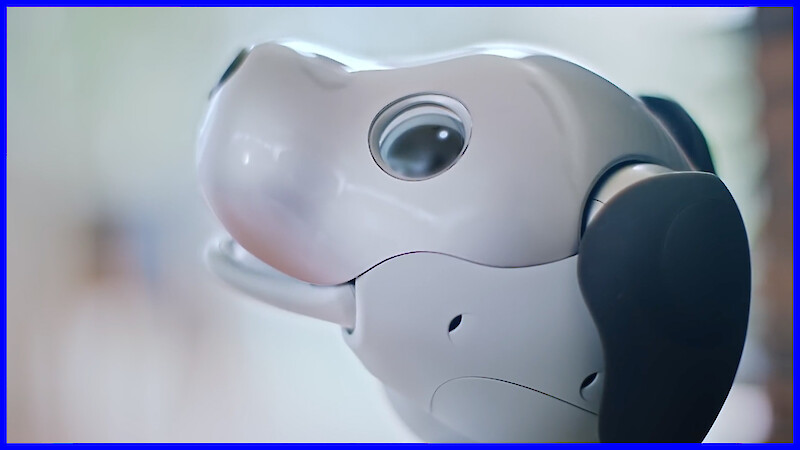 Robot Pets