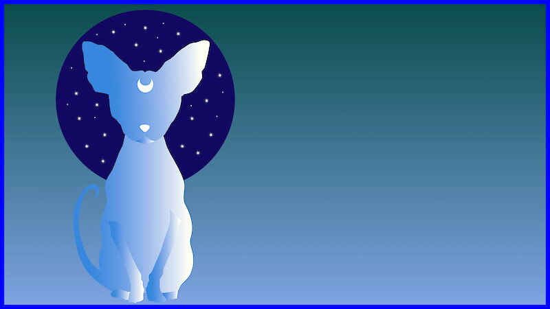 Spiritual Pets