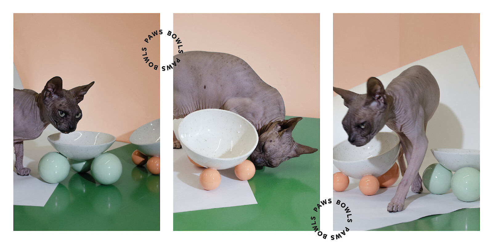 PawsBowls, Daniela Eberle