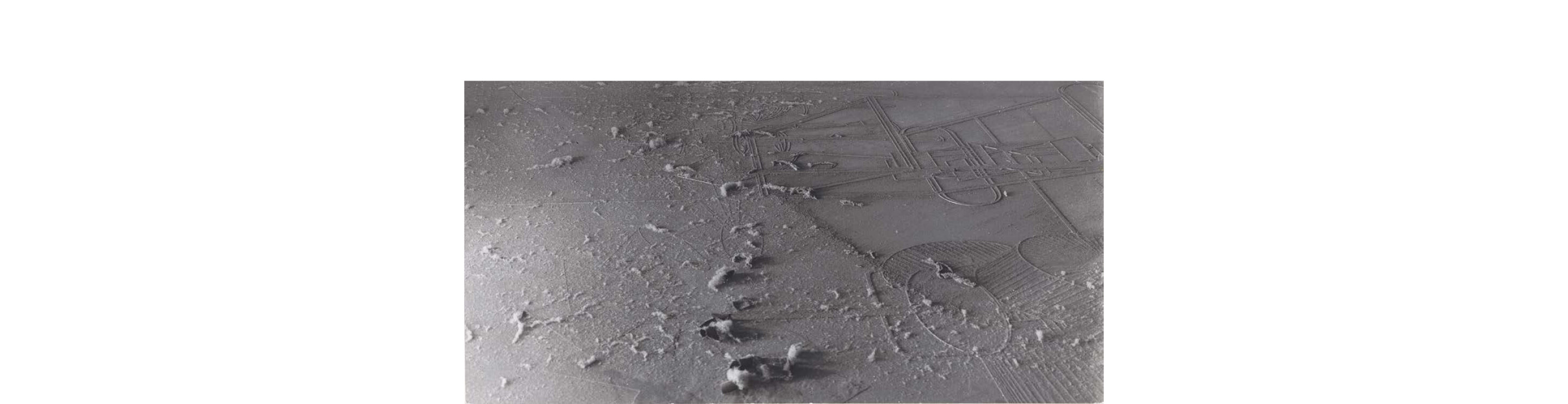 Man Ray, Marcel Duchamp: Élevage de poussière, 1920