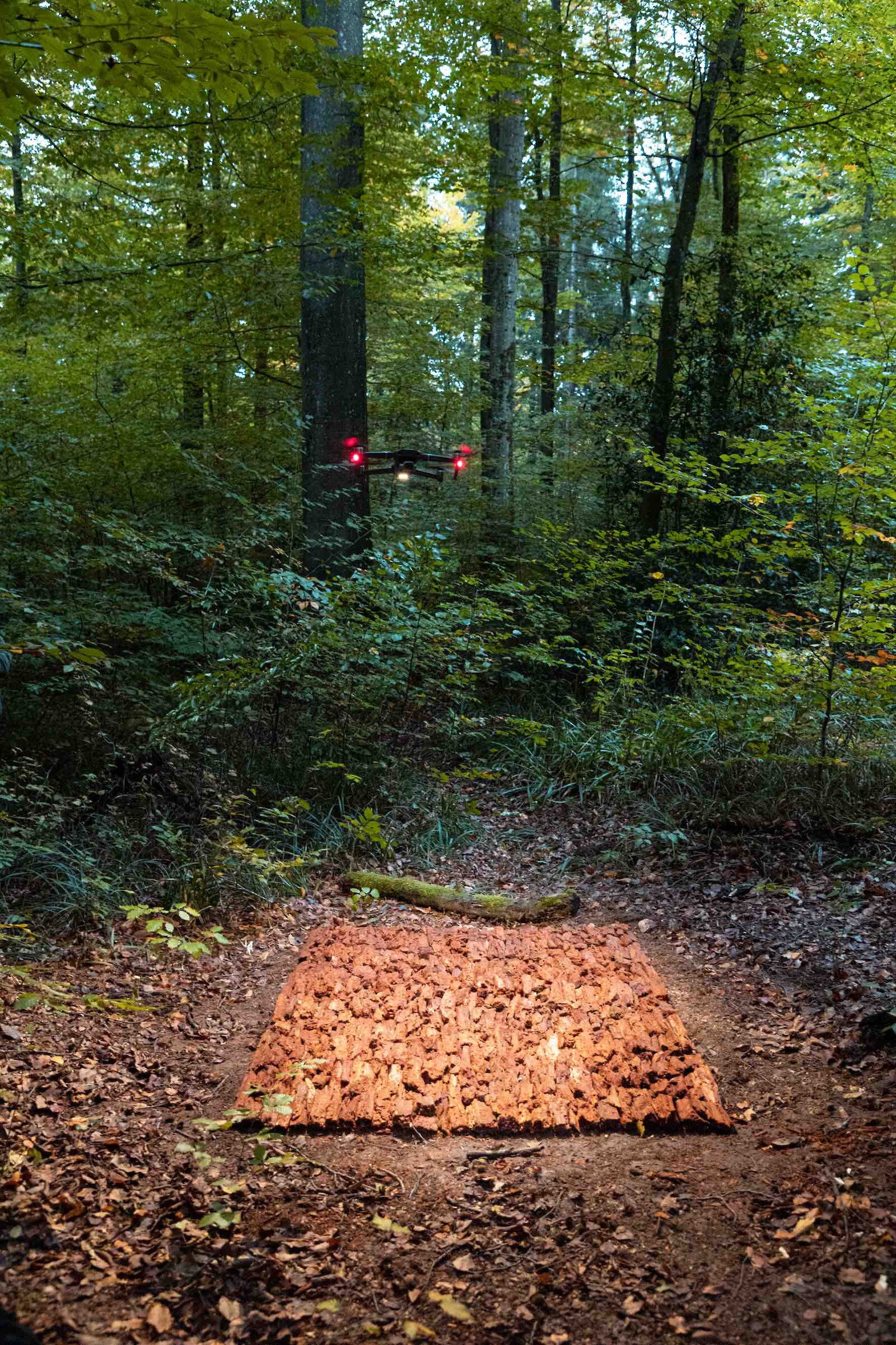 Fotografie: Paula Caputo