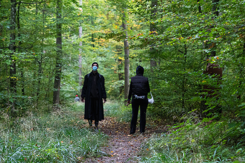 In the Woods