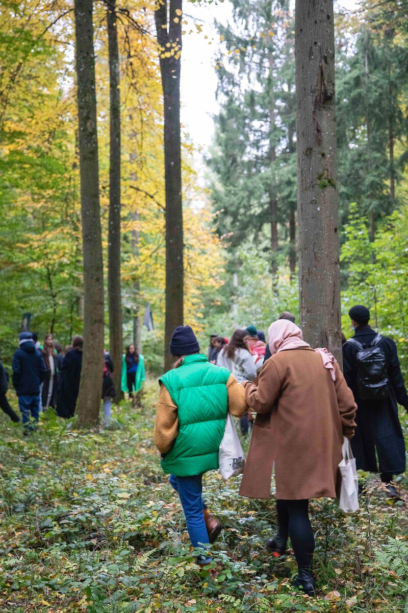 In the Woods