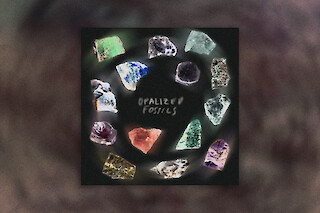 Das Albumcover zu „Opalised Fossils“ von Aiden Gore