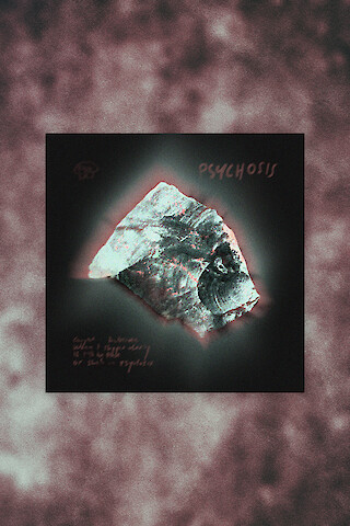Das zweite Singlecover zum Song „Psychosis“