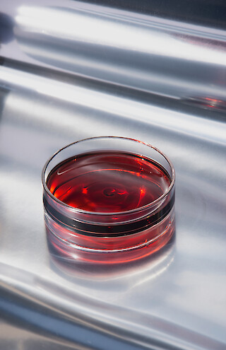 Assemblage Weinglas No. 3