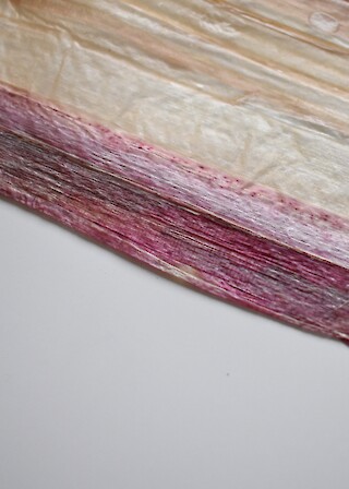 biomaterial rhubarb