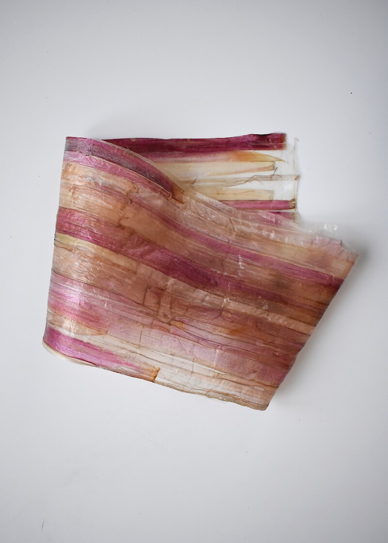 biomaterial rhubarb