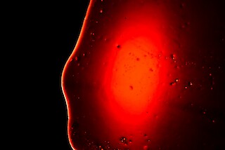 #FV.22 Blutserum, Gelatine, Glycerin