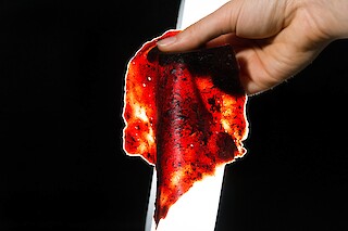 #FV.14 Blutserum, Gelatine, Glycerin, Wasser