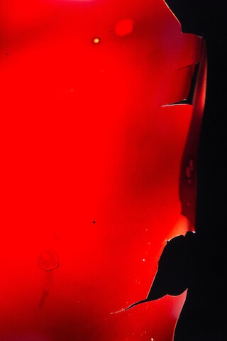 #FV.101 Blutserum, Gelatine