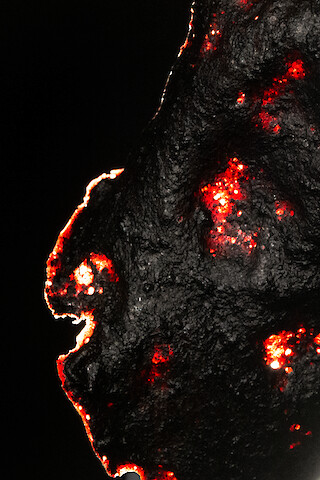 #FV.4 Blutserum, Gelatine