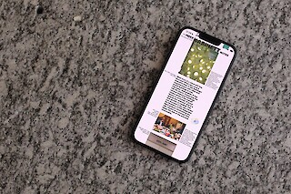 Rather than bring new archival material to the surface, it is a matter of looking at the evidence lodged in the public record, sitting right there in front of us, nestled between the lines of the all too familiar, hidden only because it is so close to our eyes.