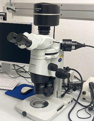 Mikroskop-Digitalkamera