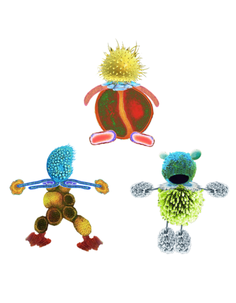 Micromates