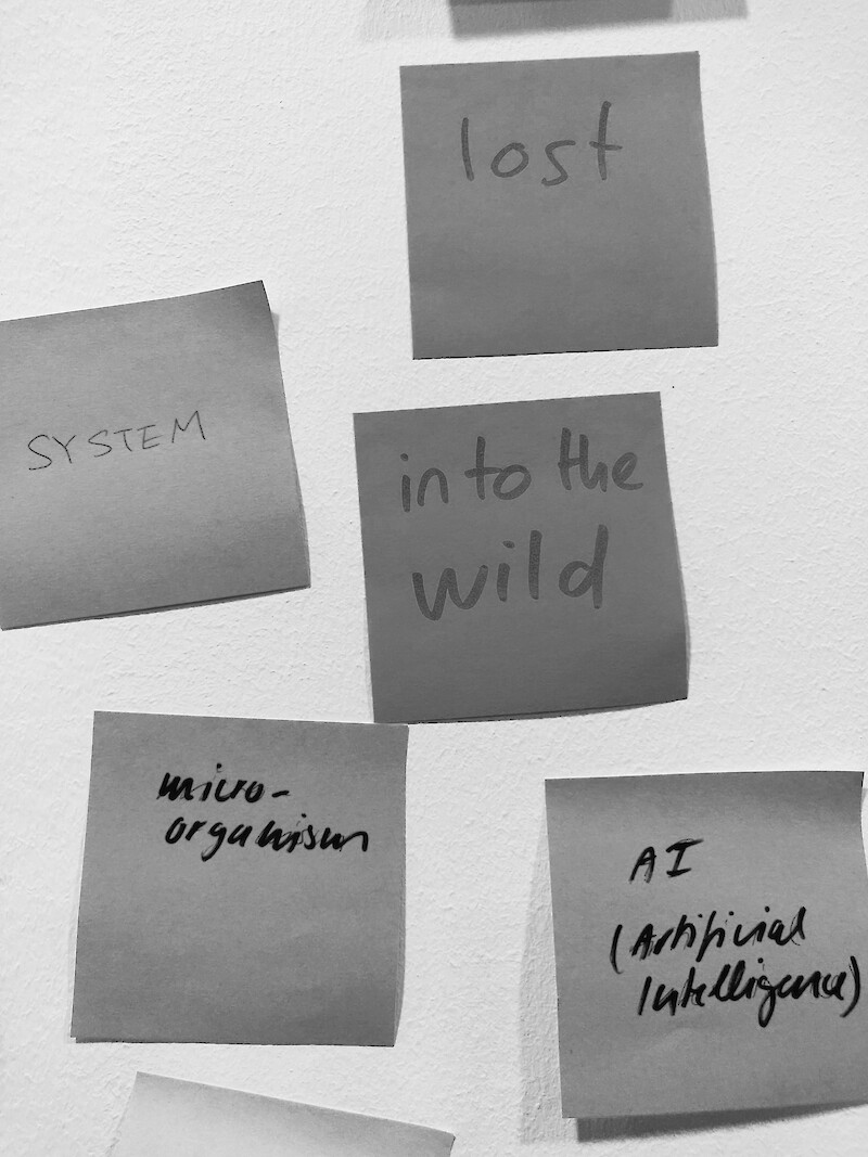 Im Workshop “Designing for More than Human Futures” wurden die Teilnehmer:innen angeregt, die vorherrschenden Gestaltungsprinzipien des Human-Centered Design zu hinterfragen.