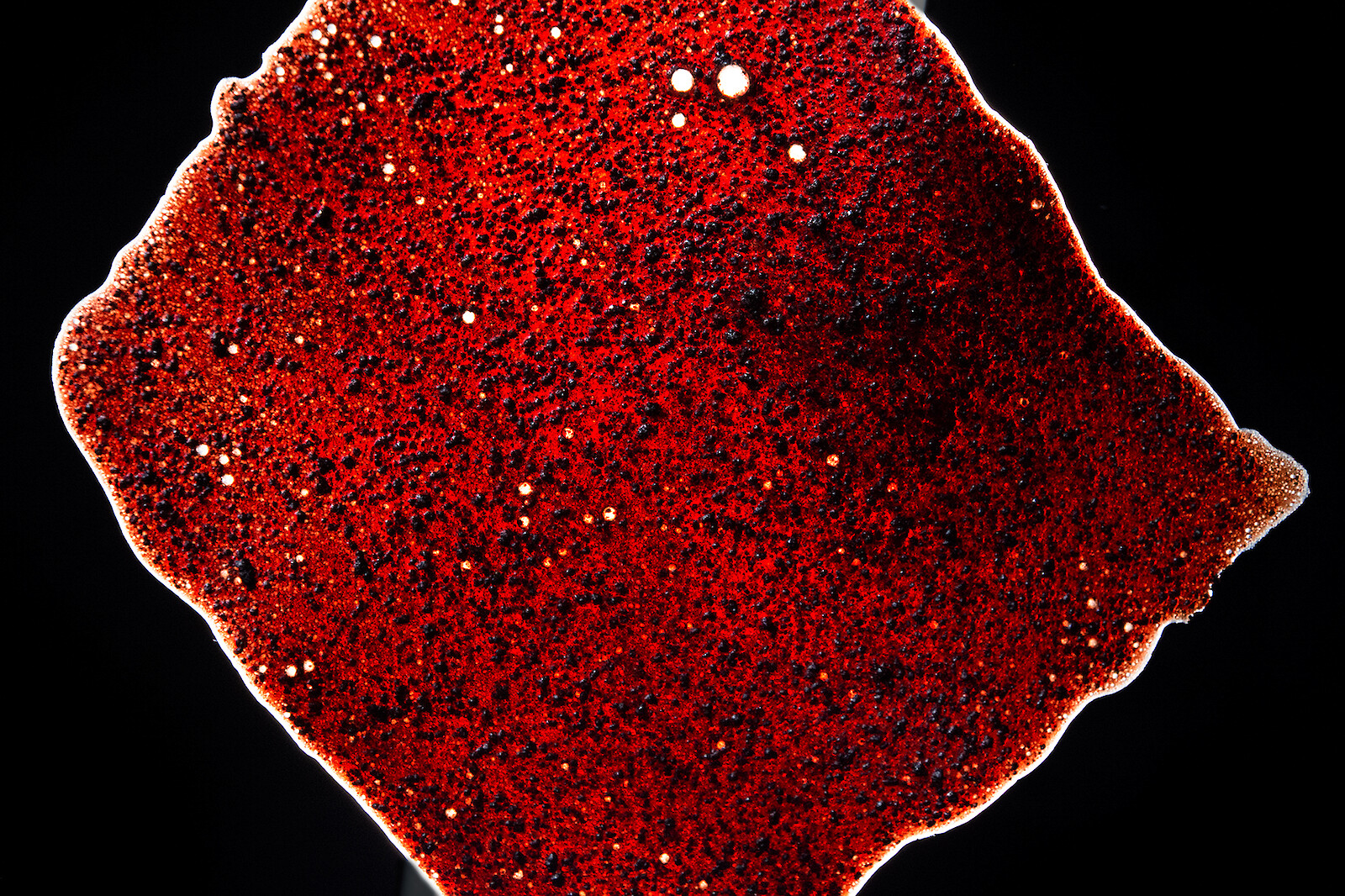 #FV.19 Blutmehl, Gelatine, Glycerin, Wasser