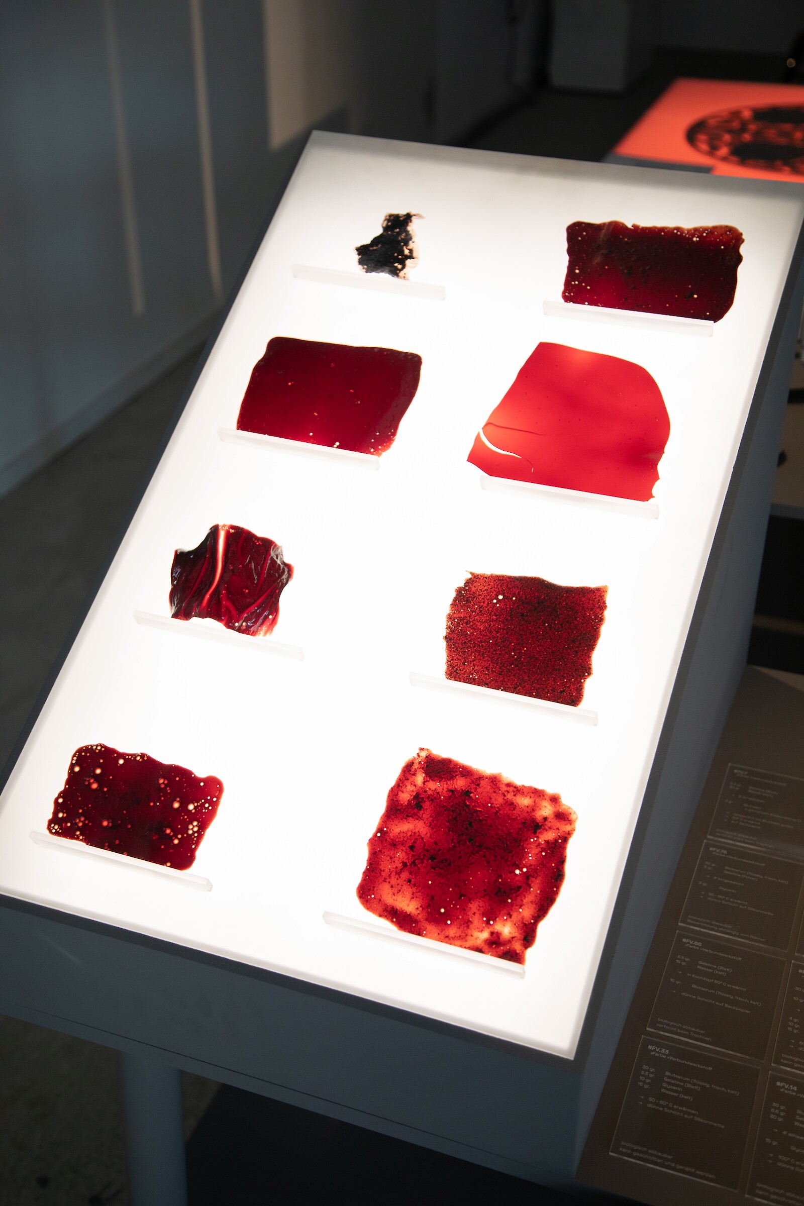 Diplomausstellung 2022