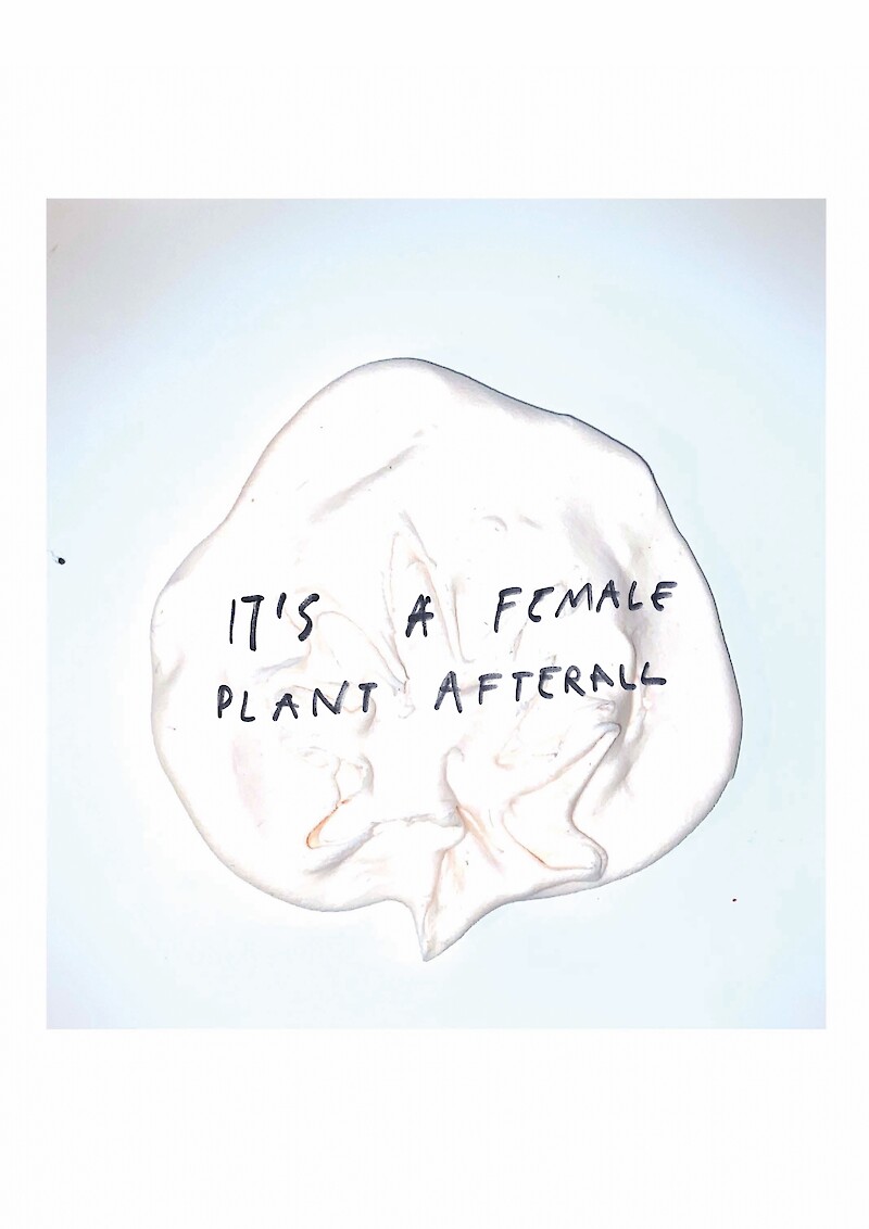 It’s a female plant after all