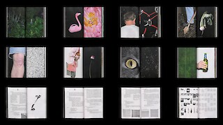 Ausschnitte aus der 308-seitigen Publikation