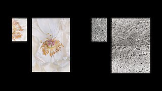 Doppelseitiger Poster-Umschlag in der Variante Idylle oder Fiasko