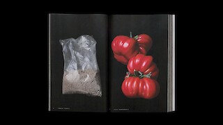 Querverweise verbinden die Bildseiten mit den Begriffen im Glossar