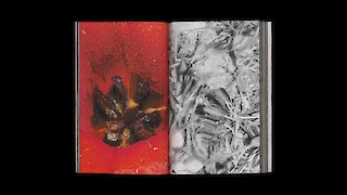 Querverweise verbinden die Bildseiten mit den Begriffen im Glossar