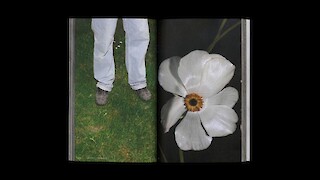 Querverweise verbinden die Bildseiten mit den Begriffen im Glossar